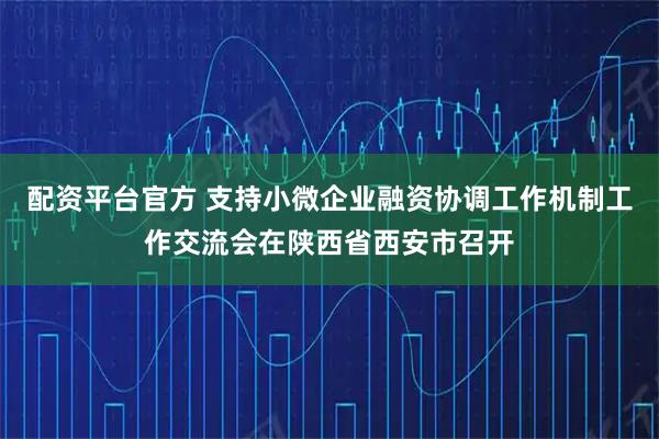 配资平台官方 支持小微企业融资协调工作机制工作交流会在陕西省西安市召开